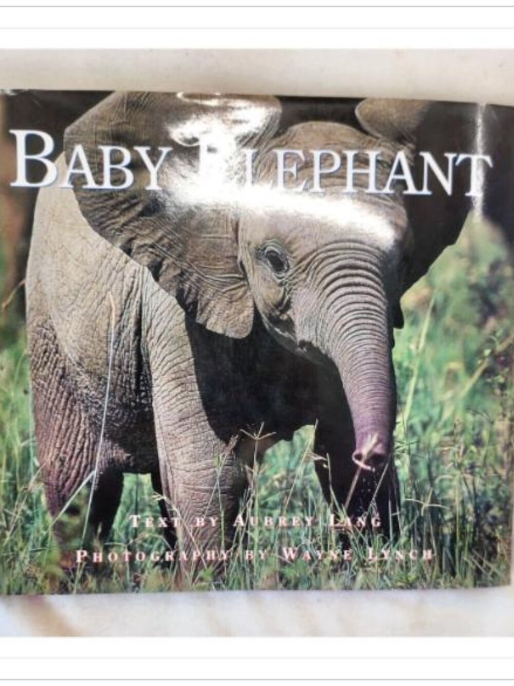 Baby Elephant by Aubrey Lang and Wayne Lynch 2002 ISBN 1550417150